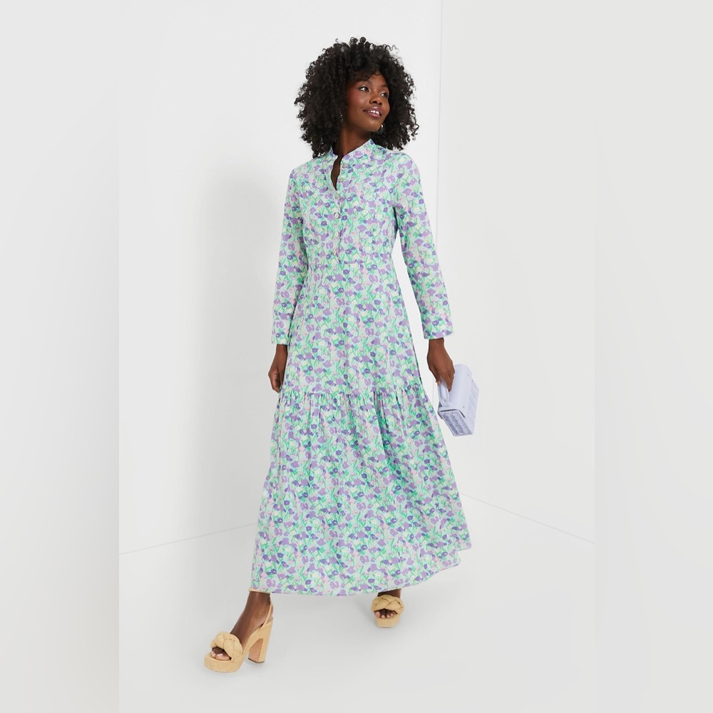 Tuckernuck Hyacinth House Multi Floral Bellflower Long Sleeve Maxi Dress S NWT